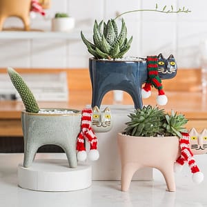 planter meow le chat collection lifestyle shot