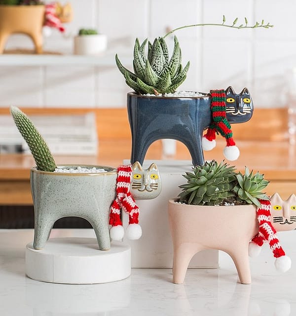 planter meow le chat collection lifestyle shot