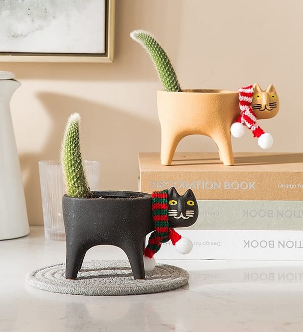 planter meow le chat collection lifestyle shot with 2 design