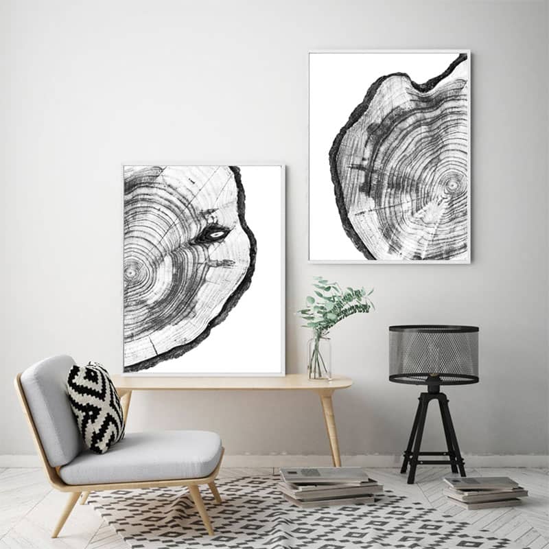 black and white design color scheme top home decor colors